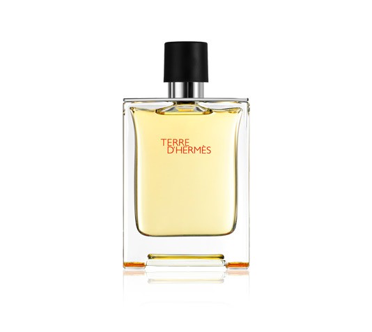 Hermes Terre d`Hermès eau de toilette 100ml