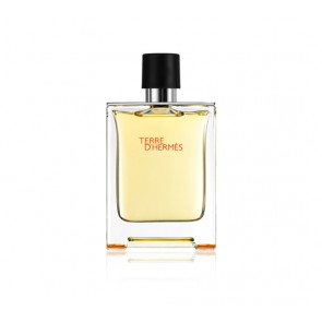 Hermes Terre d`Hermès eau de toilette 100ml